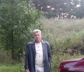 Анатолий, 55 лет, Воронеж