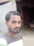 Radheshyam vrama, 27 лет, Shāhganj