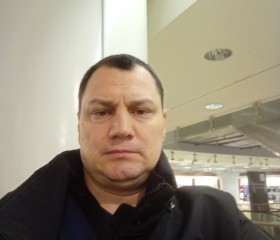 Станислав, 42 года, Санкт-Петербург