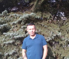 Damir, 44, Ulyanovsk