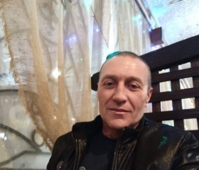 Александр, 54 года, Волгоград