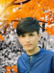 Guli shah, 19 лет, اسلام آباد