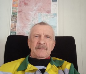 Анатолий, 67 лет, Партизанск