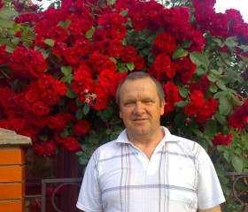 Владимир, 65 лет, Азов
