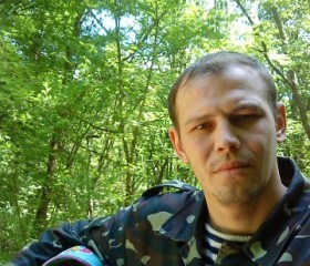 Дмитрий, 42 года, Белогорск (Крым)