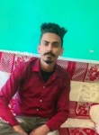 Vishal, 27 лет, Jalandhar