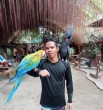 Ronel Bantilo