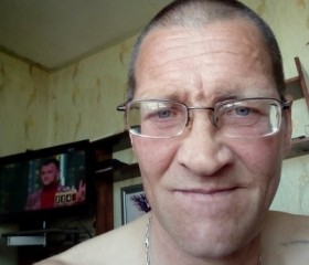 Виктор, 47 лет, Олонец