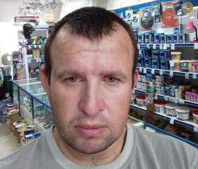 Александр, 37 лет, Пошехонье