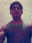 Sergio, 25 лет, México Distrito Federal