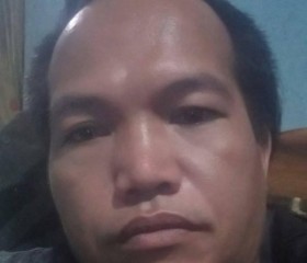 Arie, 44, Curup