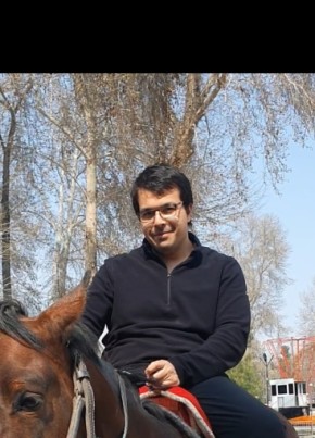 Yilmazoo