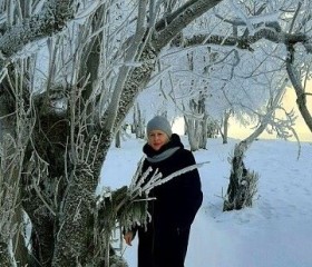 Елена, 51 год, Дивногорск