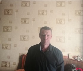 Владимир, 48 лет, Заринск
