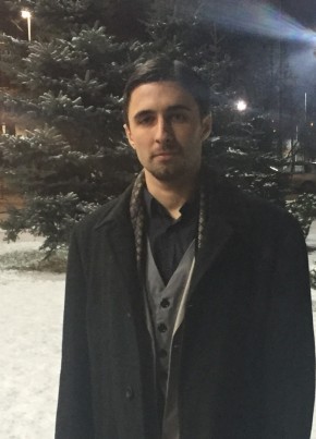 Dima, 30, Russia, Moscow