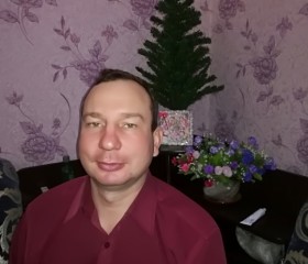 Дмитрий, 47 лет, Березовский
