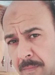 ايمن ابو الغيط, 48  , Shibin al Kawm