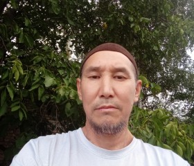 Дамке, 49 лет, Алматы