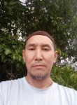 Дамке, 49 лет, Алматы