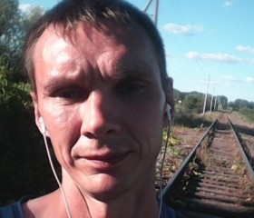 Дмитрий, 42 года, Котлас