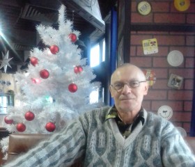 Игорь, 81 год, Кострома