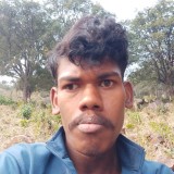 7bf2dff633e1