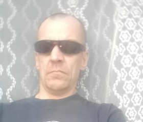 Дима, 43 года, Троицкое (Алтайский край)