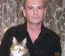 Валерий, 54 года, Мончегорск