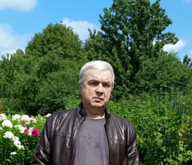 Михаил, 57 лет, Медынь