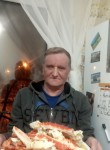 Александр, 65 лет, Нижний Тагил