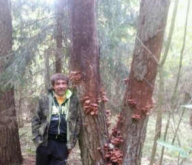 Andrey, 57, Baranovichi