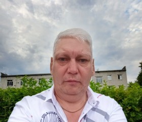 Александр, 50 лет, Богородск