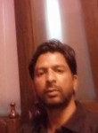 Rohit hans, 33 года, Ludhiana