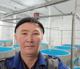 Эльмурат, 51 год, Бишкек