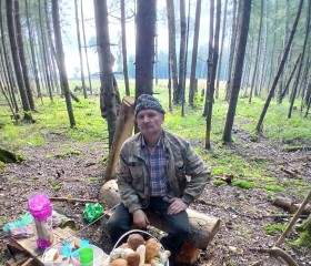 Nikolay, 65, Moscow