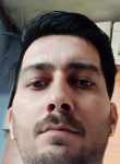 navneet keshav, 33 года, Shimla