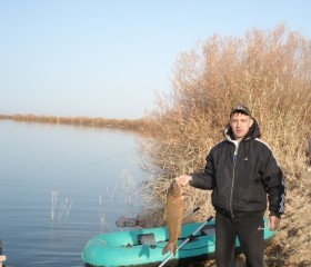 Алекс Левченко, 57 лет, Горад Кобрын