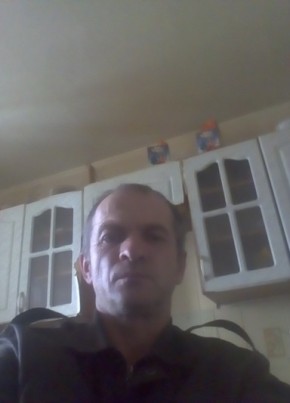 Sergey, 47, Belarus, Kamyanyets