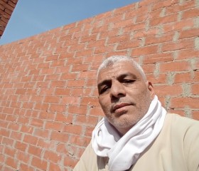 فهمي, 59, Cairo