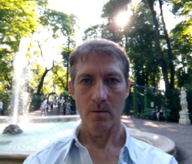 Nikolay, 43, Saint Petersburg