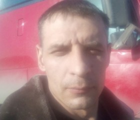 Степан, 36 лет, Новобурейский
