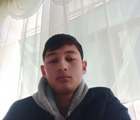 TARIEL, 20 лет, Бишкек