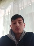 TARIEL, 20 лет, Бишкек