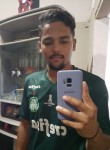 Everton, 26 лет, Recife