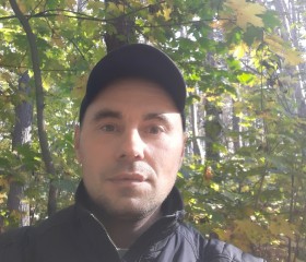 Михаил, 45 лет, Курск