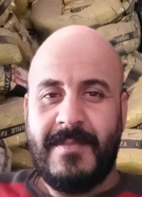 Saif, 34, جمهورية العراق, بغداد