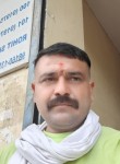 Rahul Kumar, 38 лет, Ludhiana
