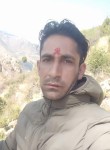 Harish Kumar, 36  , Shimla