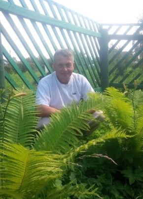 Алексей, 55, Россия, Гаврилов-Ям