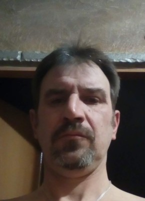 Андрей Фурманов, 47, Россия, Донское